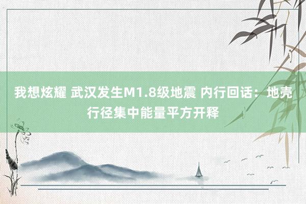 我想炫耀 武汉发生M1.8级地震 内行回话：地壳行径集中能量平方开释