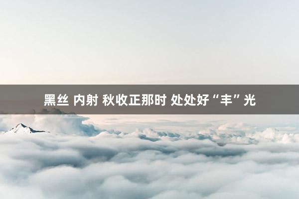 黑丝 内射 秋收正那时 处处好“丰”光