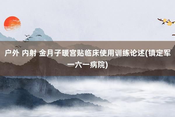 户外 内射 金月子暖宫贴临床使用训练论述(镇定军一六一病院)