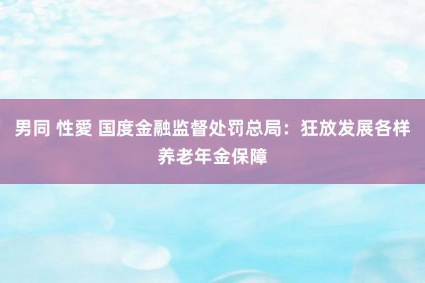 男同 性愛 国度金融监督处罚总局：狂放发展各样养老年金保障