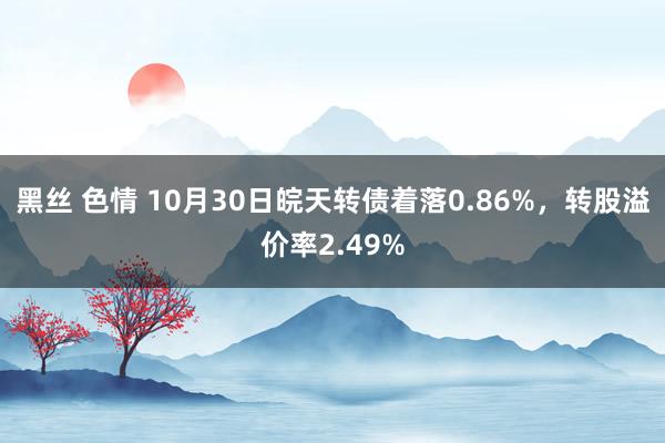 黑丝 色情 10月30日皖天转债着落0.86%,转股溢价率2.49%
