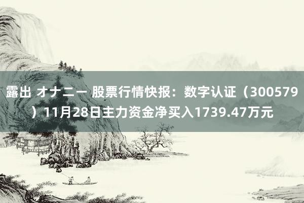 露出 オナニー 股票行情快报：数字认证（300579）11月28日主力资金净买入1739.47万元