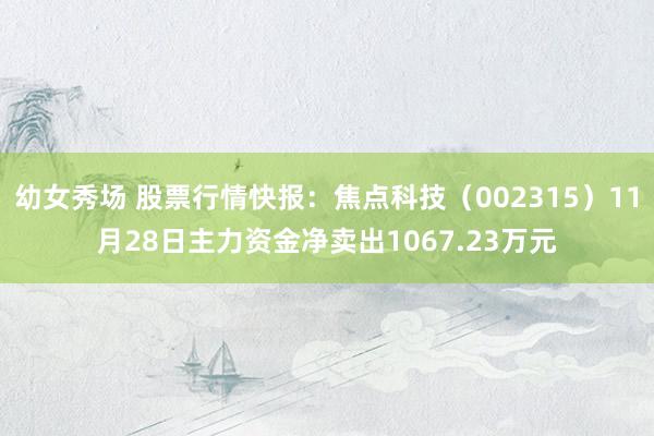 幼女秀场 股票行情快报：焦点科技（002315）11月28日主力资金净卖出1067.23万元