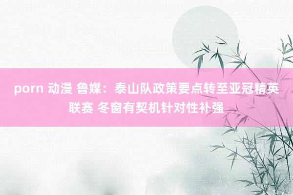 porn 动漫 鲁媒：泰山队政策要点转至亚冠精英联赛 冬窗有契机针对性补强