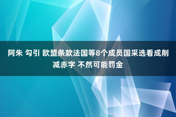 阿朱 勾引 欧盟条款法国等8个成员国采选看成削减赤字 不然可能罚金