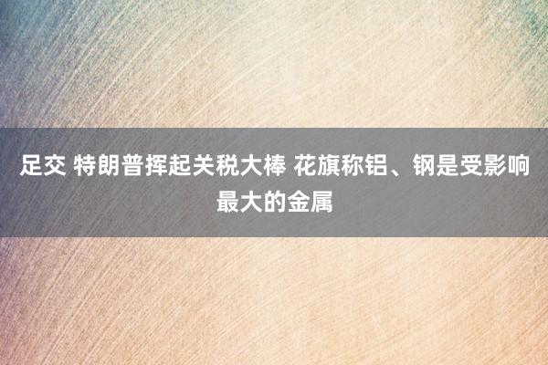 足交 特朗普挥起关税大棒 花旗称铝、钢是受影响最大的金属