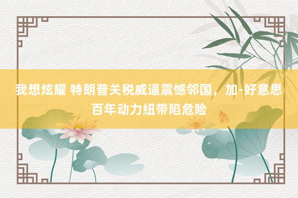 我想炫耀 特朗普关税威逼震憾邻国，加-好意思百年动力纽带陷危险