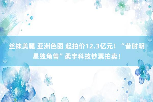 丝袜美腿 亚洲色图 起拍价12.3亿元！“昔时明星独角兽”柔宇科技钞票拍卖！
