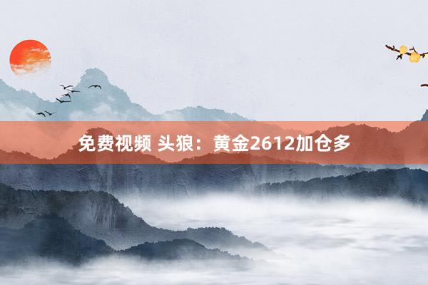 免费视频 头狼：黄金2612加仓多