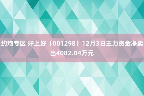 约炮专区 好上好（001298）12月3日主力资金净卖出4082.04万元