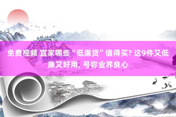 免费视频 宜家哪些“低廉货”值得买? 这9件又低廉又好用， 号称业界良心