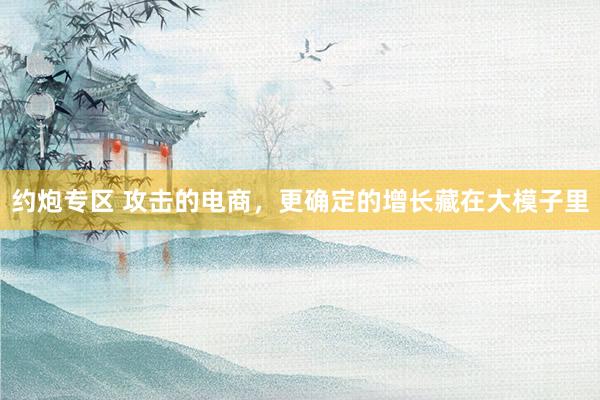 约炮专区 攻击的电商，更确定的增长藏在大模子里