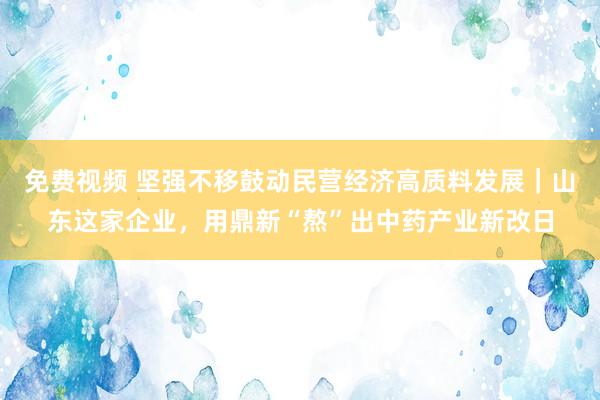 免费视频 坚强不移鼓动民营经济高质料发展｜山东这家企业，用鼎新“熬”出中药产业新改日