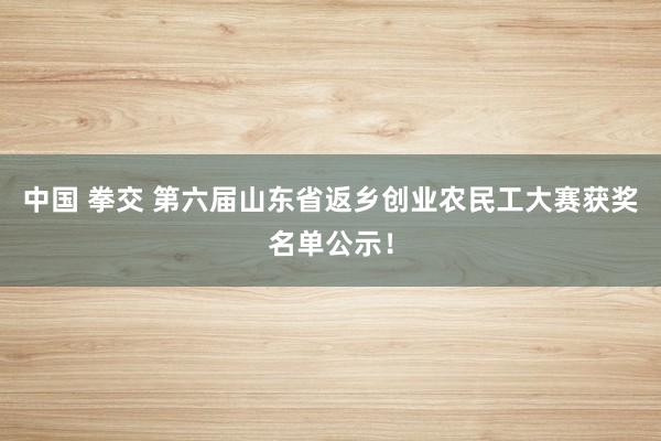 中国 拳交 第六届山东省返乡创业农民工大赛获奖名单公示！