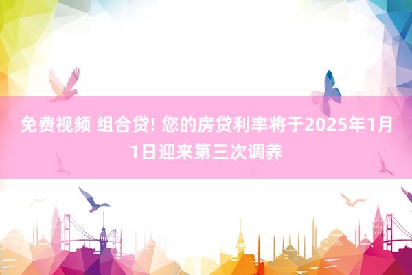 免费视频 组合贷! 您的房贷利率将于2025年1月1日迎来第三次调养