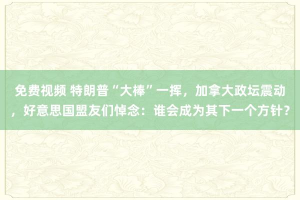 免费视频 特朗普“大棒”一挥，加拿大政坛震动，好意思国盟友们悼念：谁会成为其下一个方针？