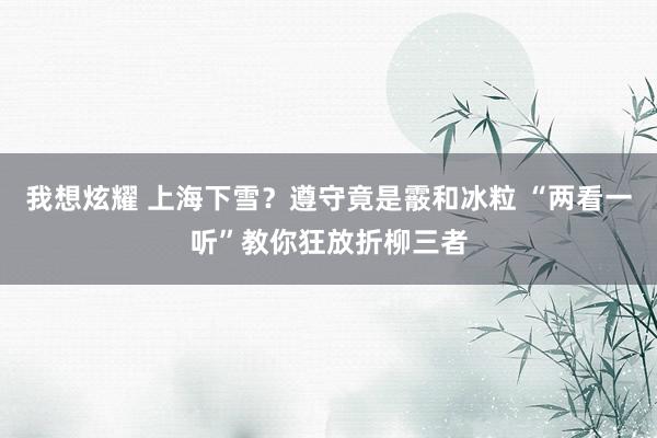 我想炫耀 上海下雪？遵守竟是霰和冰粒 “两看一听”教你狂放折柳三者