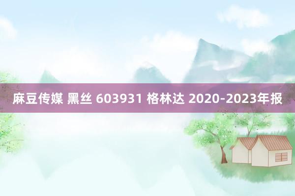 麻豆传媒 黑丝 603931 格林达 2020-2023年报
