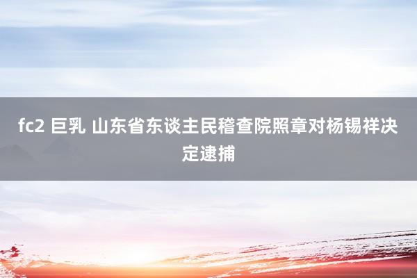 fc2 巨乳 山东省东谈主民稽查院照章对杨锡祥决定逮捕