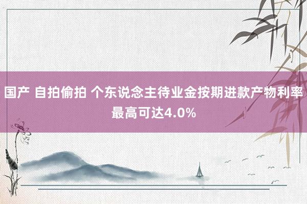 国产 自拍偷拍 个东说念主待业金按期进款产物利率最高可达4.0%