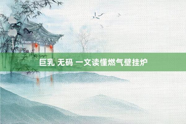 巨乳 无码 一文读懂燃气壁挂炉