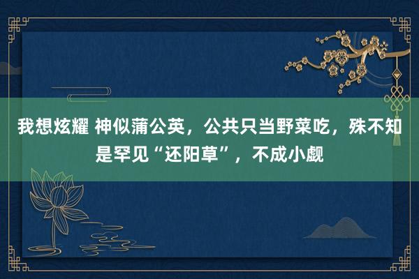 我想炫耀 神似蒲公英，公共只当野菜吃，殊不知是罕见“还阳草”，不成小觑