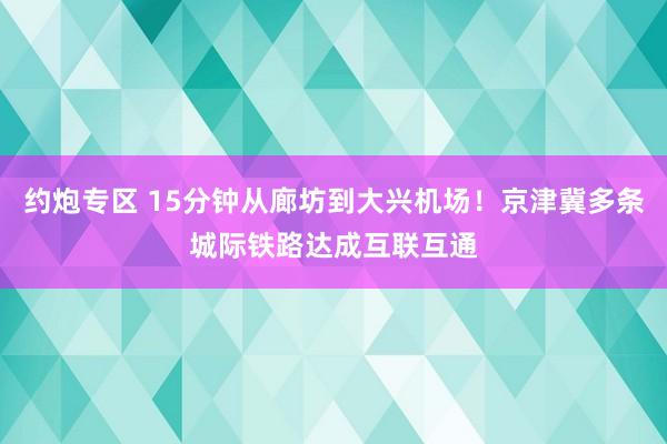 约炮专区 15分钟从廊坊到大兴机场！京津冀多条城际铁路达成互联互通