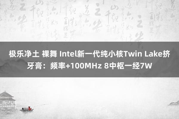 极乐净土 裸舞 Intel新一代纯小核Twin Lake挤牙膏：频率+100MHz 8中枢一经7W
