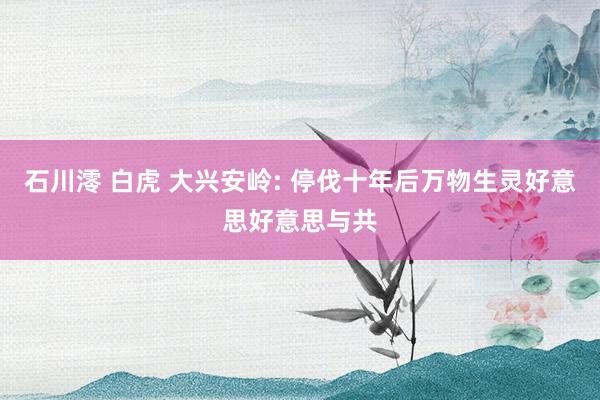 石川澪 白虎 大兴安岭: 停伐十年后万物生灵好意思好意思与共