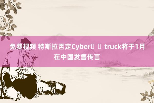 免费视频 特斯拉否定Cyber​​truck将于1月在中国发售传言