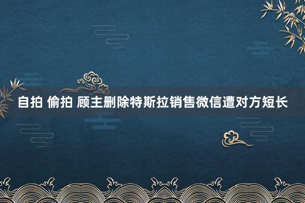 自拍 偷拍 顾主删除特斯拉销售微信遭对方短长