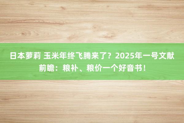 日本萝莉 玉米年终飞腾来了？2025年一号文献前瞻：粮补、粮价一个好音书！