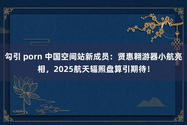 勾引 porn 中国空间站新成员：贤惠翱游器小航亮相，2025航天辐照盘算引期待！