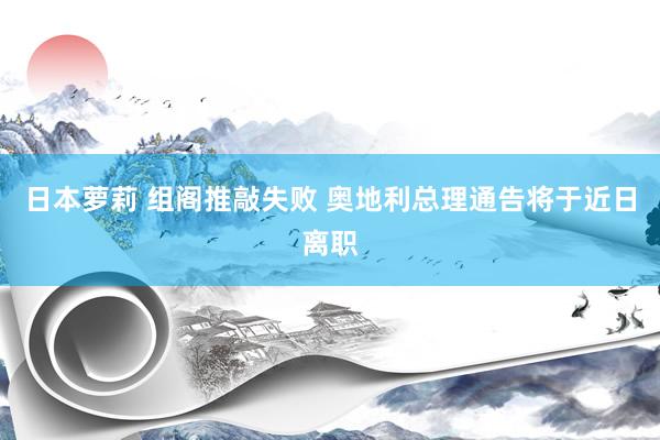 日本萝莉 组阁推敲失败 奥地利总理通告将于近日离职