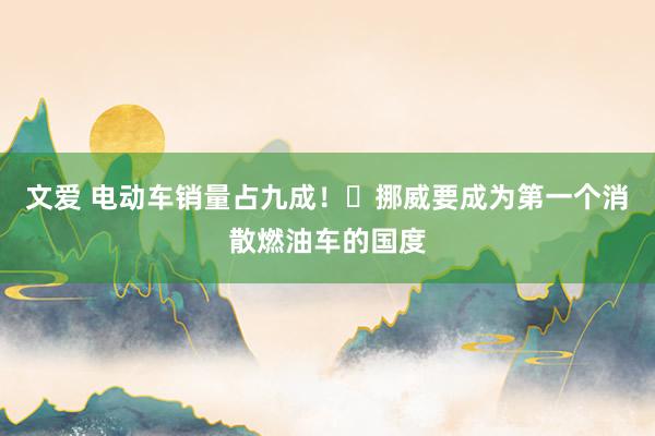 文爱 电动车销量占九成！​挪威要成为第一个消散燃油车的国度