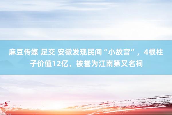 麻豆传媒 足交 安徽发现民间“小故宫”，4根柱子价值12亿，被誉为江南第又名祠