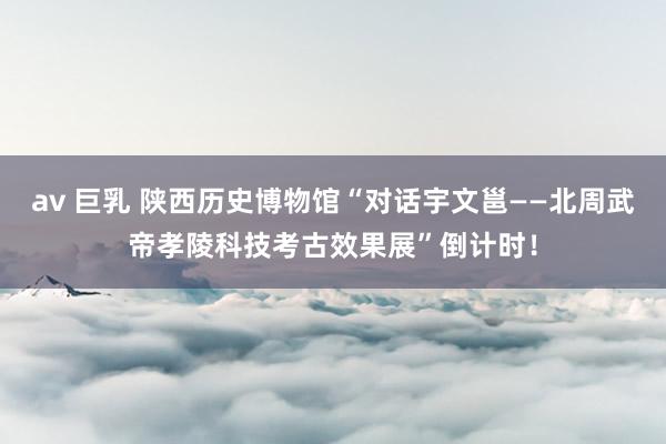 av 巨乳 陕西历史博物馆“对话宇文邕——北周武帝孝陵科技考古效果展”倒计时！