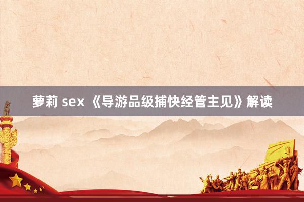 萝莉 sex 《导游品级捕快经管主见》解读