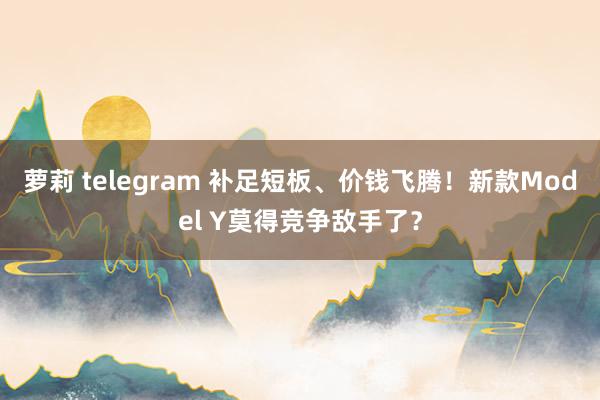 萝莉 telegram 补足短板、价钱飞腾！新款Model Y莫得竞争敌手了？