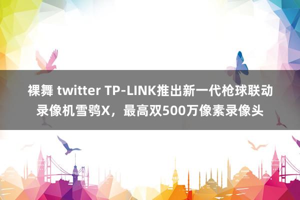 裸舞 twitter TP-LINK推出新一代枪球联动录像机雪鸮X，最高双500万像素录像头