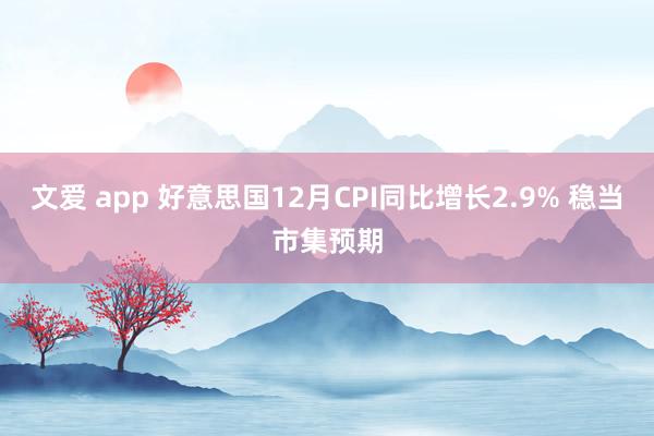 文爱 app 好意思国12月CPI同比增长2.9% 稳当市集预期
