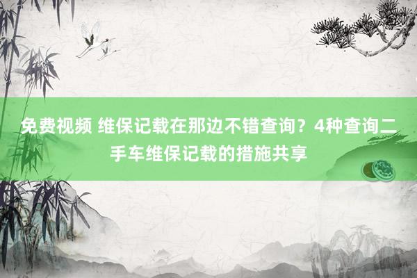免费视频 维保记载在那边不错查询？4种查询二手车维保记载的措施共享