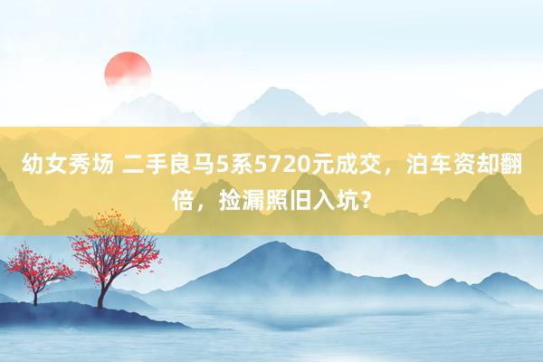 幼女秀场 二手良马5系5720元成交，泊车资却翻倍，捡漏照旧入坑？