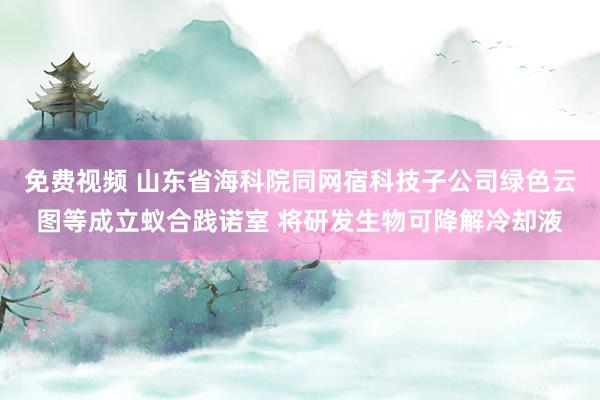 免费视频 山东省海科院同网宿科技子公司绿色云图等成立蚁合践诺室 将研发生物可降解冷却液