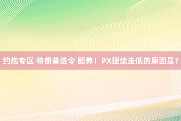 约炮专区 特朗普签令 颐养！PX捏续走低的原因是？