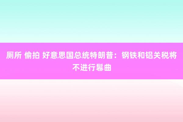 厕所 偷拍 好意思国总统特朗普：钢铁和铝关税将不进行鬈曲