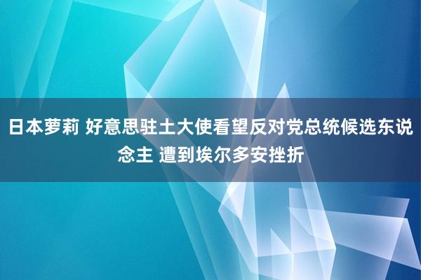 日本萝莉 好意思驻土大使看望反对党总统候选东说念主 遭到埃尔多安挫折