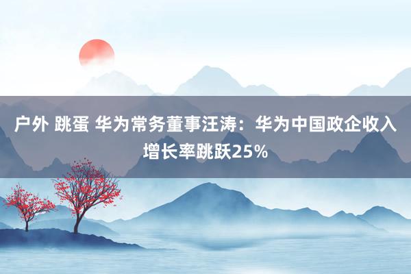 户外 跳蛋 华为常务董事汪涛：华为中国政企收入增长率跳跃25%