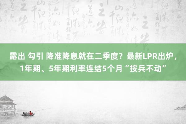 露出 勾引 降准降息就在二季度？最新LPR出炉，1年期、5年期利率连结5个月“按兵不动”