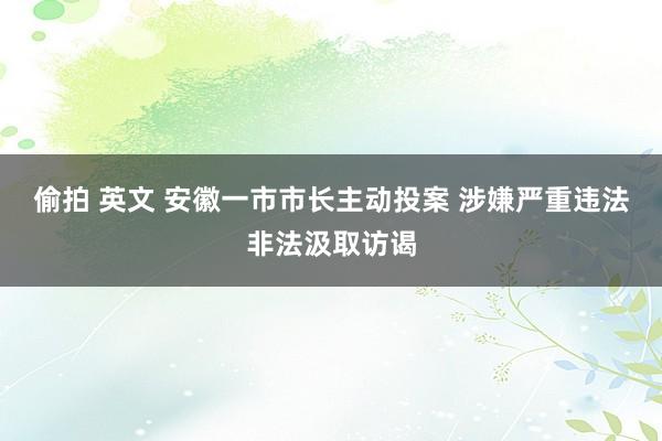 偷拍 英文 安徽一市市长主动投案 涉嫌严重违法非法汲取访谒
